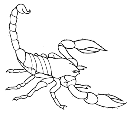 Skorpiony kolorowanki
